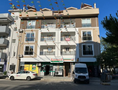 SANİYE SOYSÜLLÜ VE HANİFE MISIRLI APARTMANI (2020)